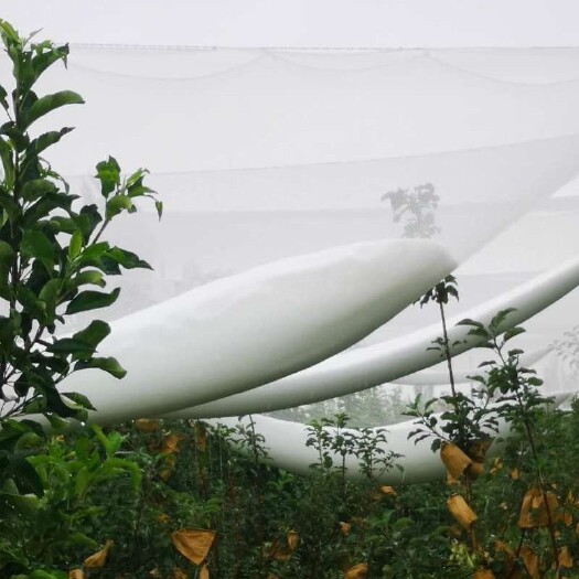 无棣县 果园防雹网苹果葡萄防冰雹网防护网全新料农业防护工具四综单层网