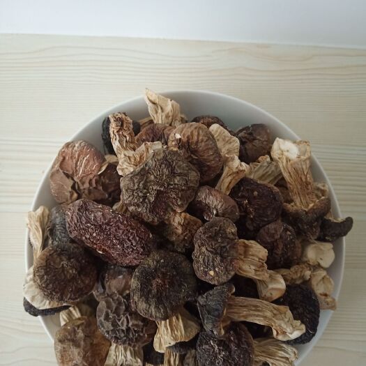 南平赤松茸