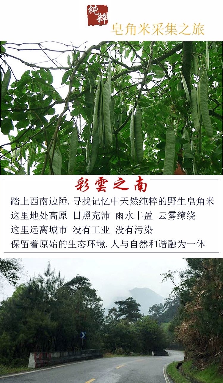 云南单荚皂角米小籽500克一斤无硫 可搭配桃胶雪燕