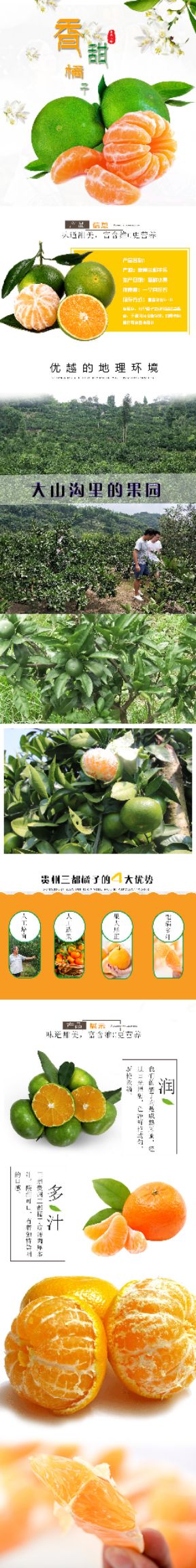 三都㓇屯无籽蜜桔当季新鲜水果现摘现卖5斤包邮爽口薄皮橘子