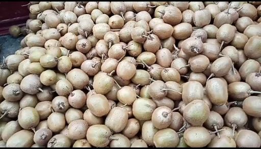 野生猕猴桃  70克以下小弥猴桃！营养维C！日供货1一2万斤