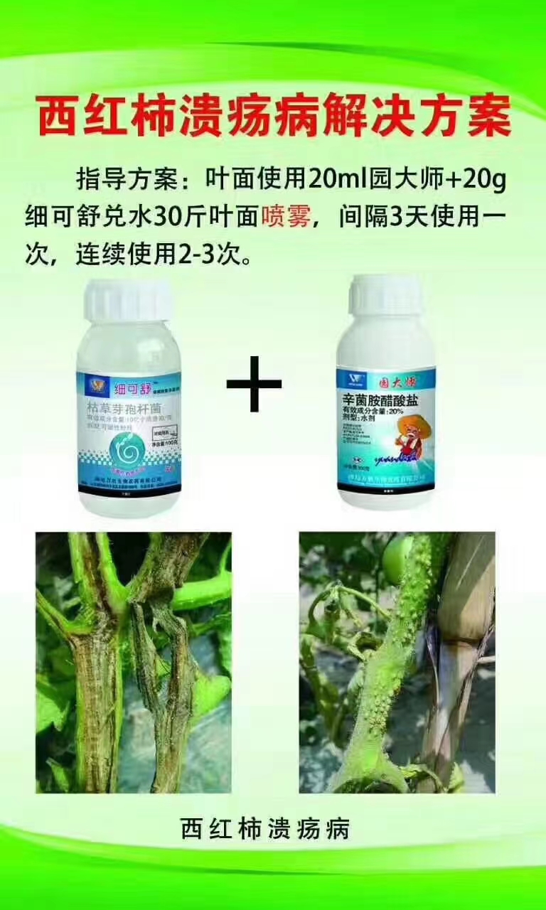 杀菌剂  西红柿青枯病溃疡病解决方案 套装