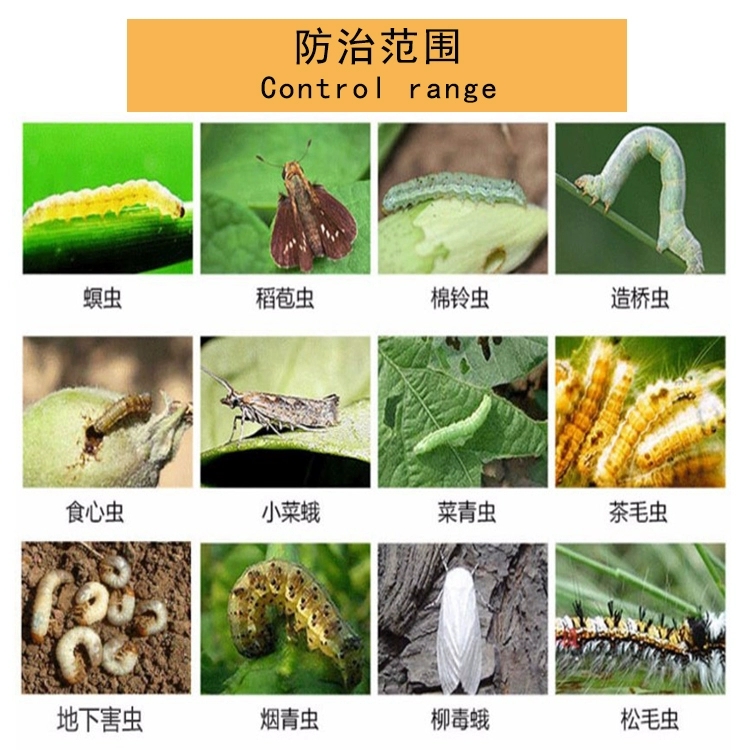 甲维虫螨腈  12%甲维虫螨蜻青虫小菜蛾蔬菜果树玉米水稻高效