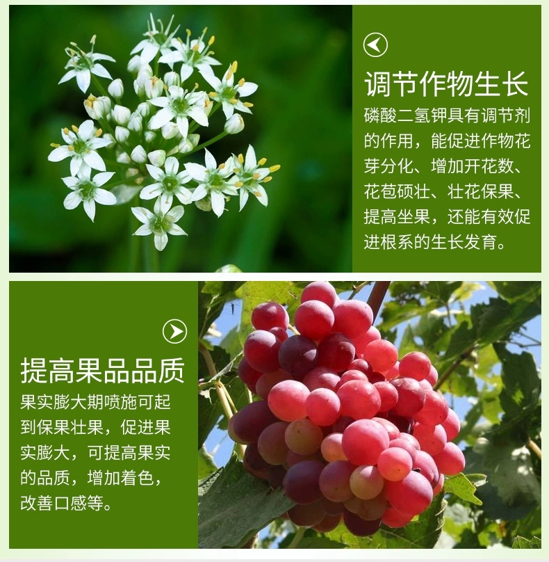 高纯度99%膨化磷酸二氢钾蔬菜花卉水果水稻小麦壮根促花促果