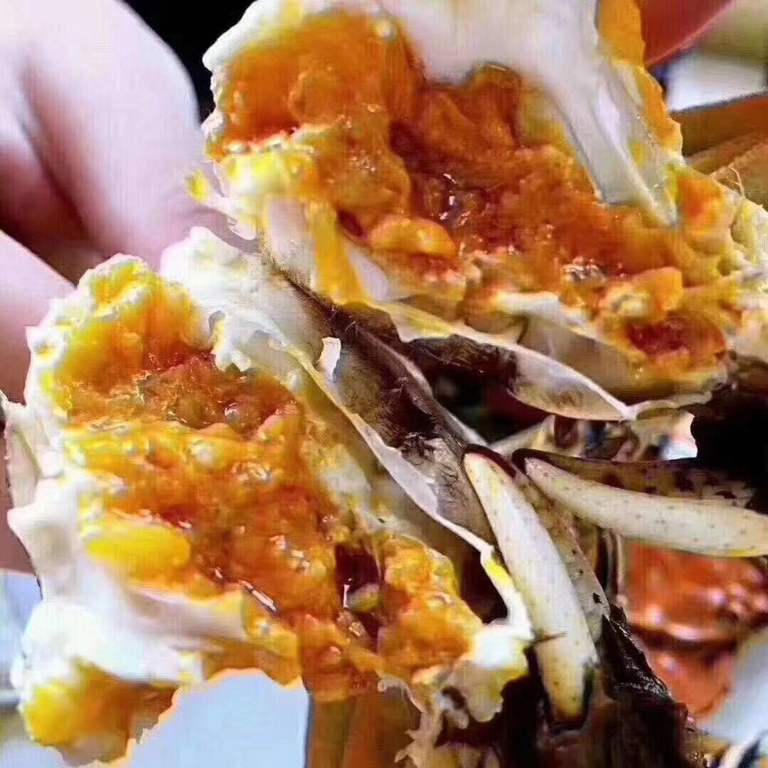 大闸蟹 江苏省淮安市金湖县