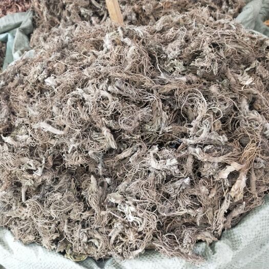 供应地胆头干货地胆草根广东煲汤料 量大从优统货