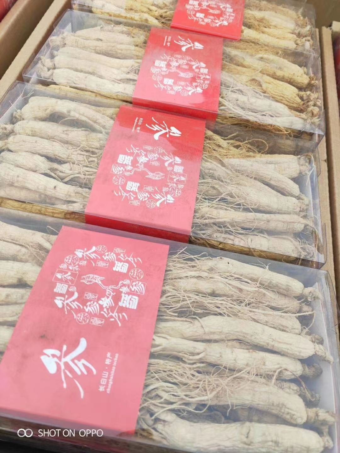 长白山人参 特级白参一斤起批，包邮