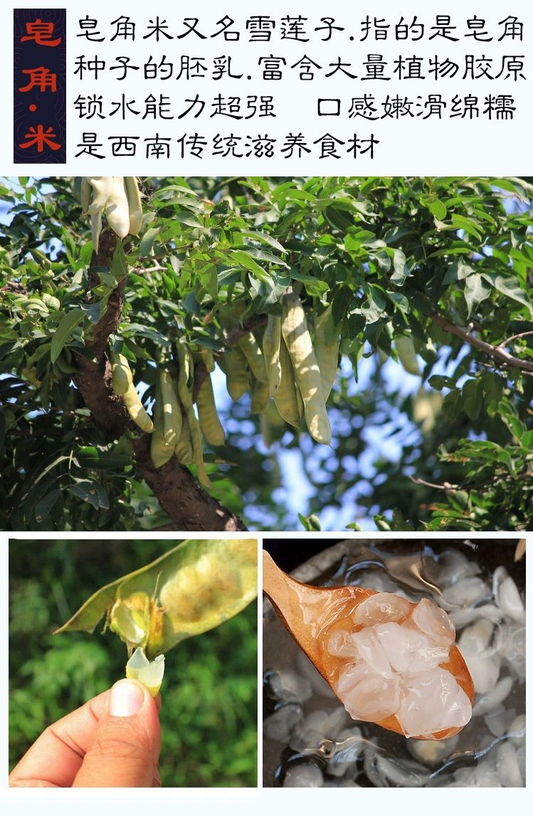 云南单荚皂角米小籽500克一斤无硫 可搭配桃胶雪燕
