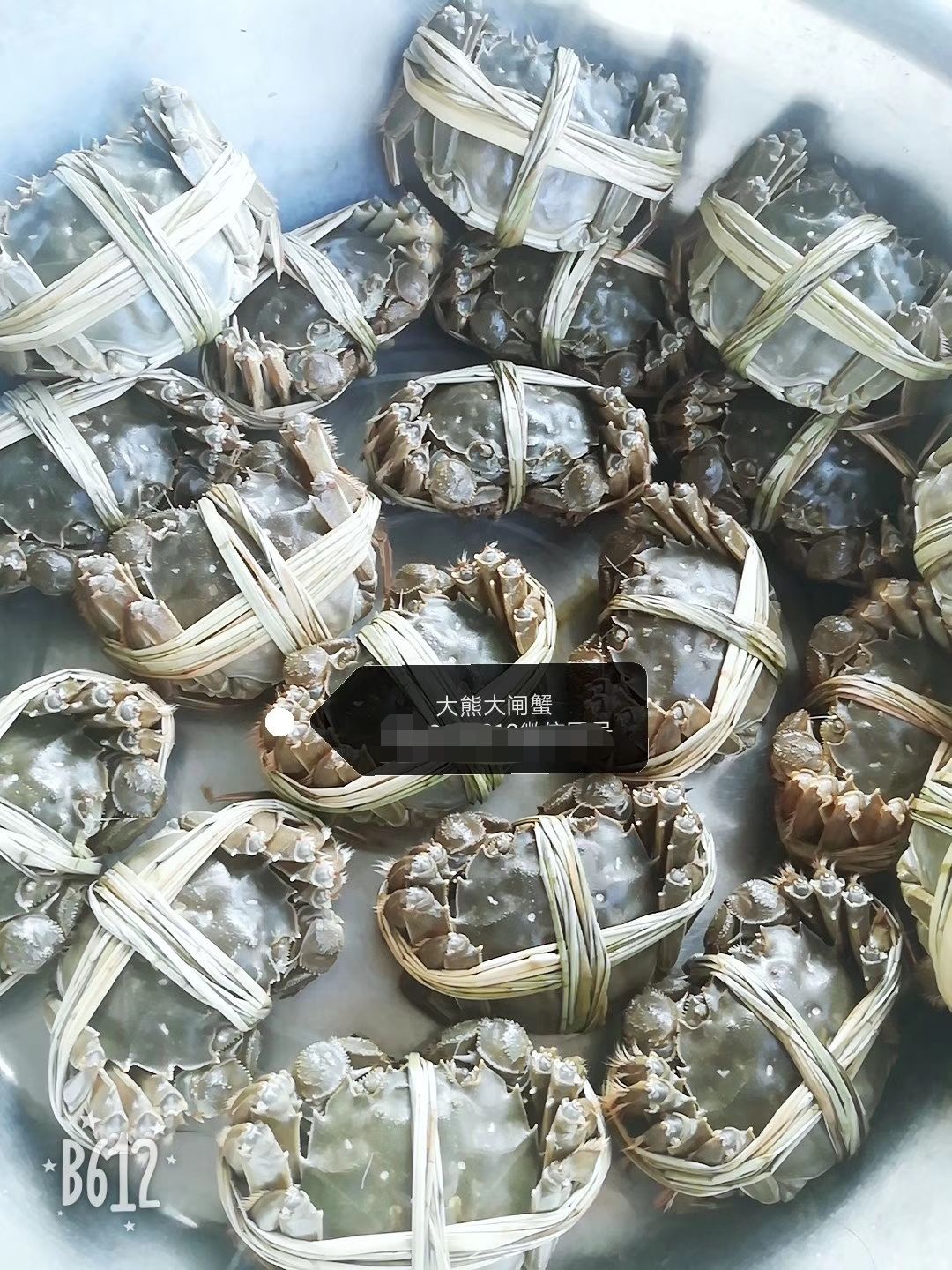  兴化红膏大闸蟹螃蟹礼盒鲜活水产一件代发