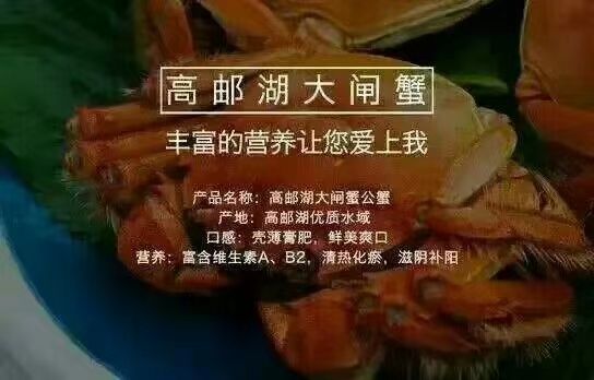 金湖白马湖大闸蟹
