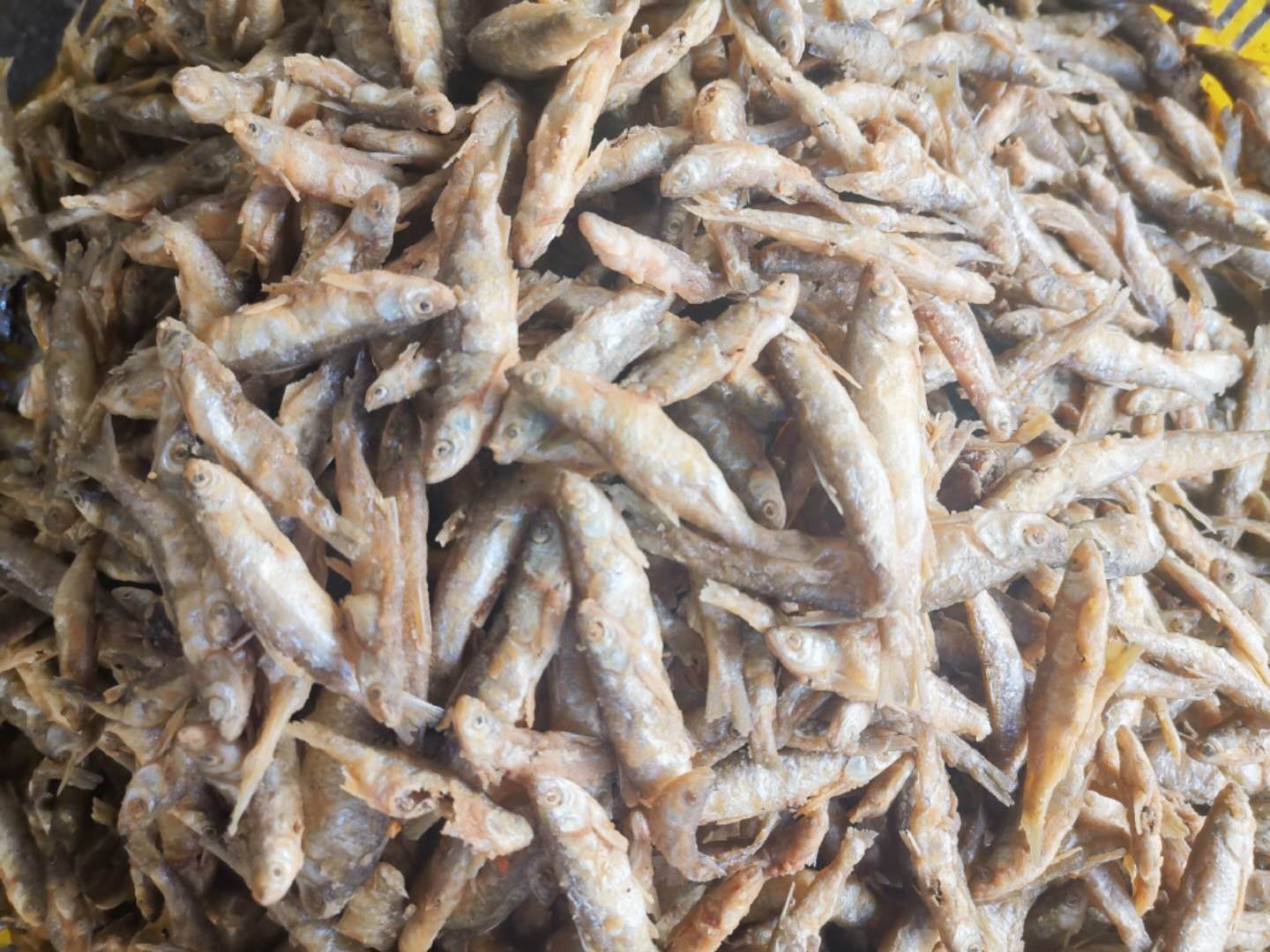小鱼干 油炸白肖