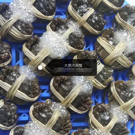 兴化市 兴化红膏大闸蟹螃蟹礼盒鲜活水产一件代发