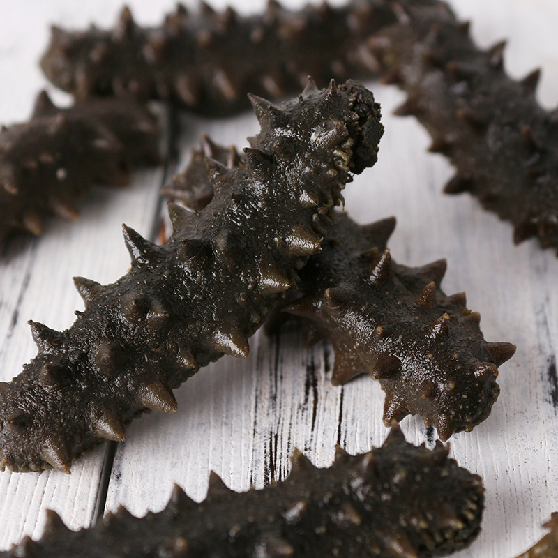 大连海参  大连参旺福半干海参批发零售