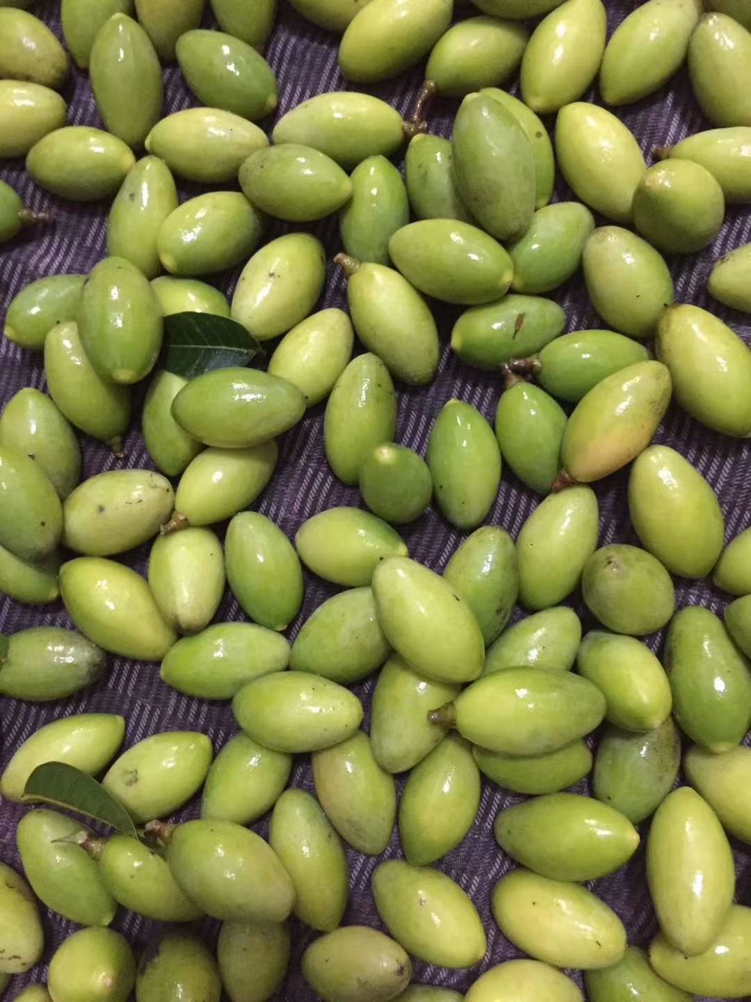  新鲜青橄榄