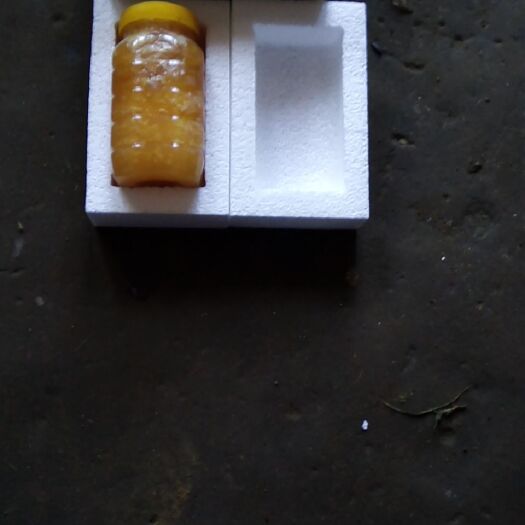 金寨县 深山养殖土蜂蜜，自产自销质量保证，环保