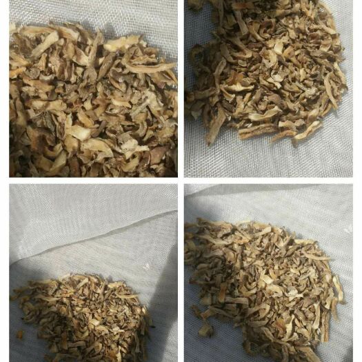 武山县优质干洋姜，