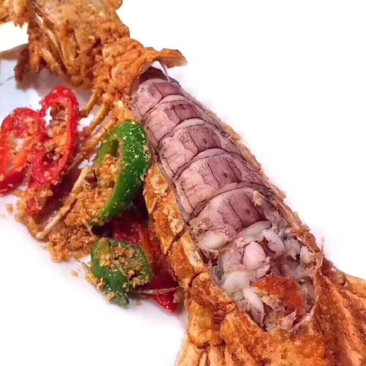 上海冷冻皮皮虾 富贵虾，皮皮虾