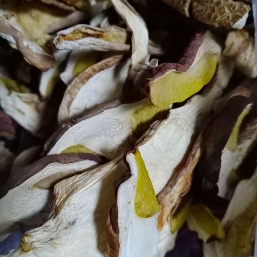 双柏县美味牛肝菌 干牛肝菌