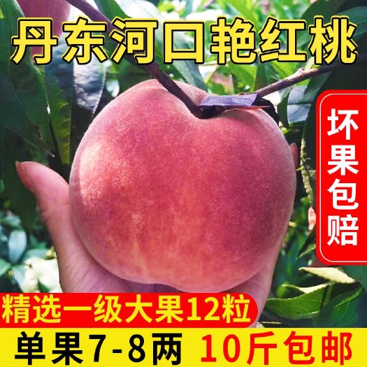 宽甸县 鸭绿江河口山地富硒燕红桃尝鲜价上市 省内黑吉辽顺丰包邮
