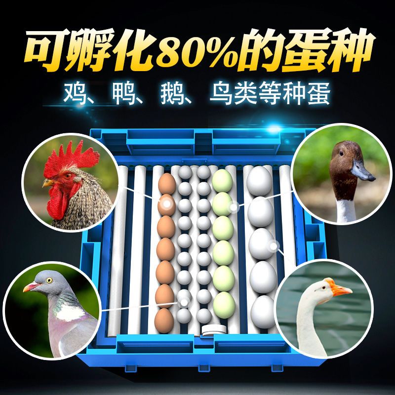 养殖孵化机 【特.价包邮优选】孵化机全自动智能小型家用型鸡