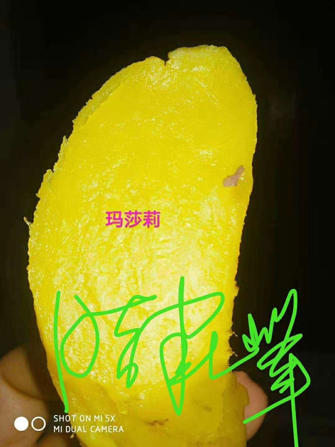 日本红肴红薯 红瑶，玛莎莉，哈密，澳洲紫白，红粟等多品种高端地瓜出售，