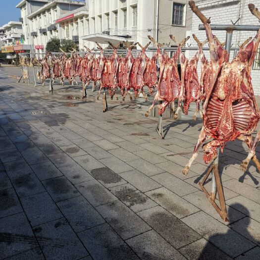 霍山县羊肉类 生肉