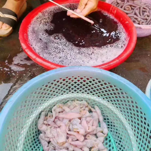 遂溪县沙虫干