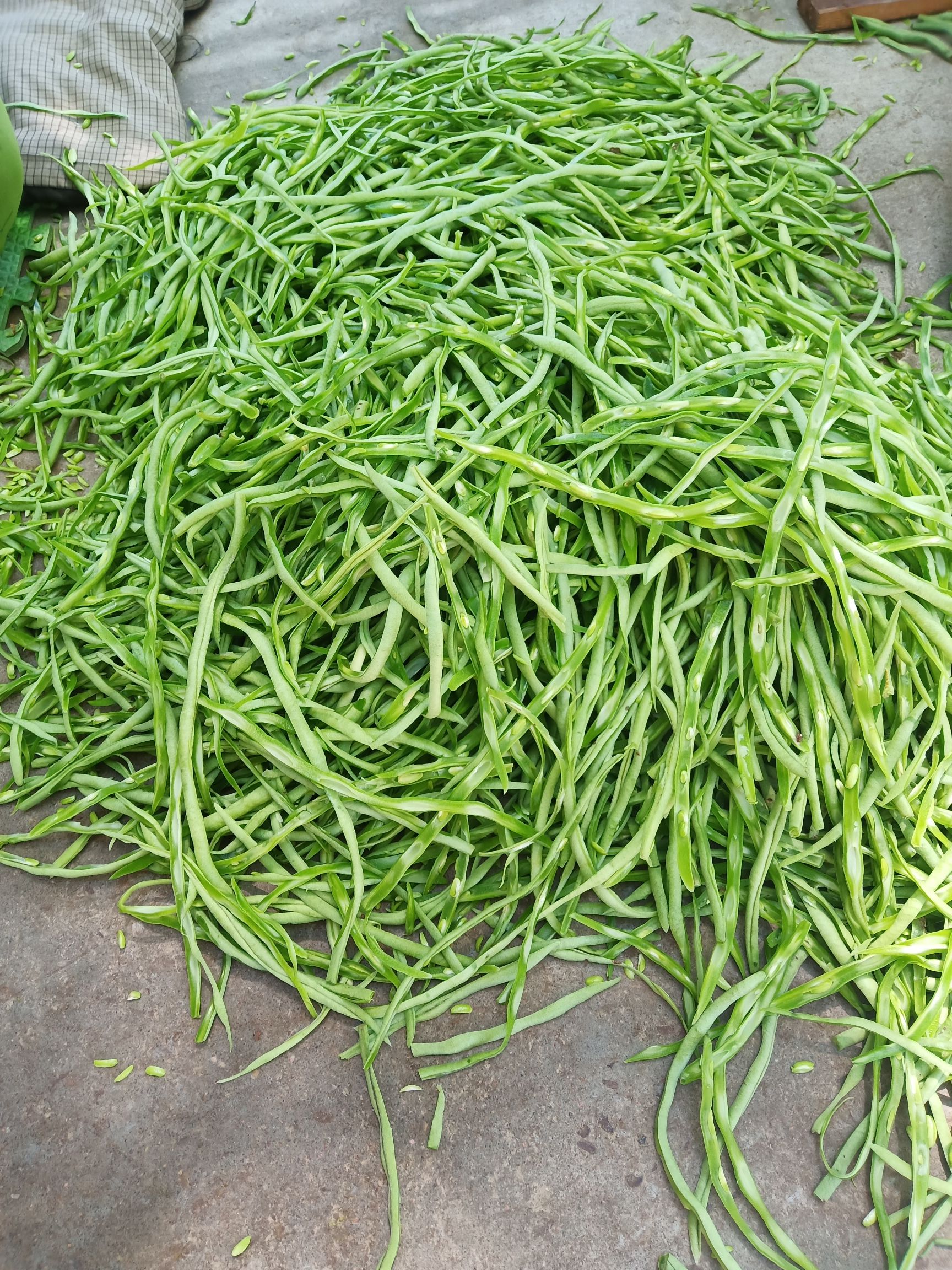 出售干豆角丝 葫芦条