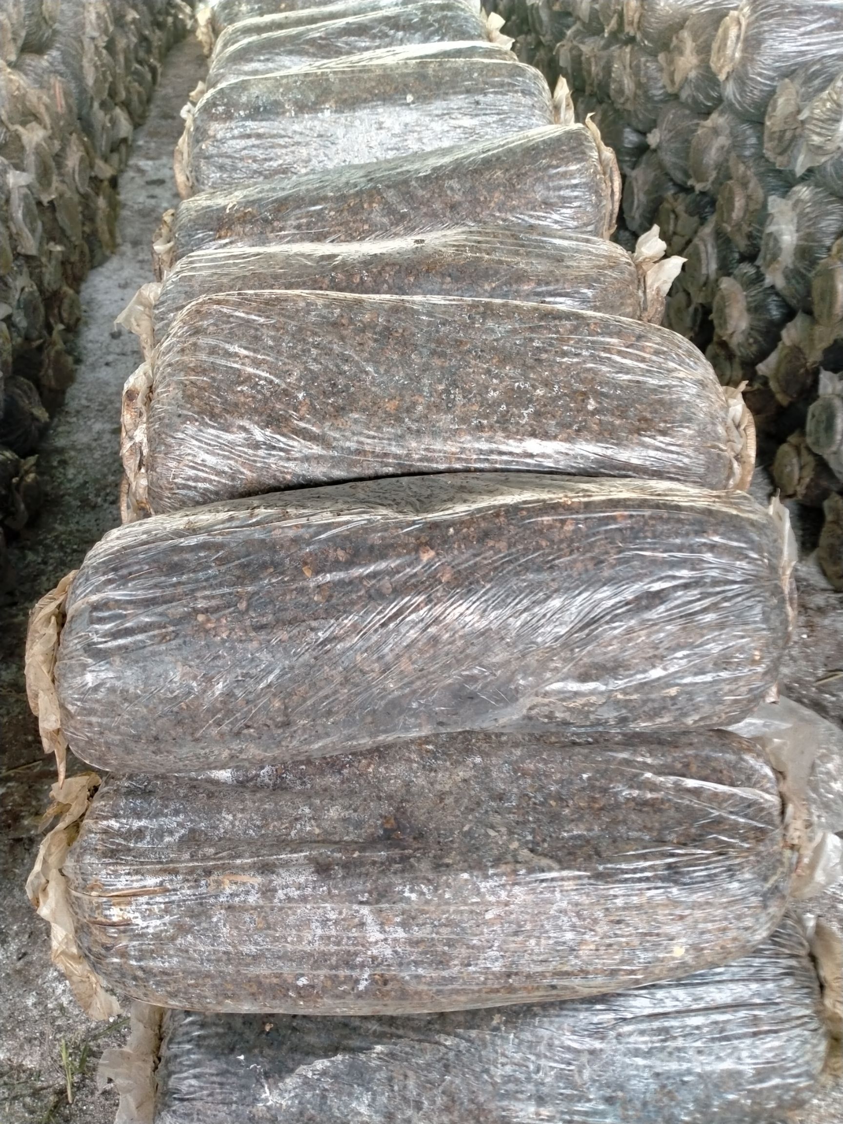 栽培基质  熟料菌袋