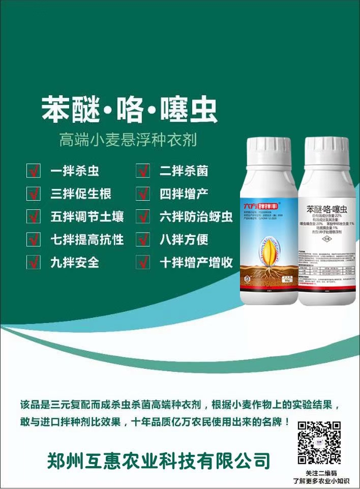 拌种剂 苯醚·咯·噻虫小麦种子悬浮剂 1瓶拌2亩地种子 直