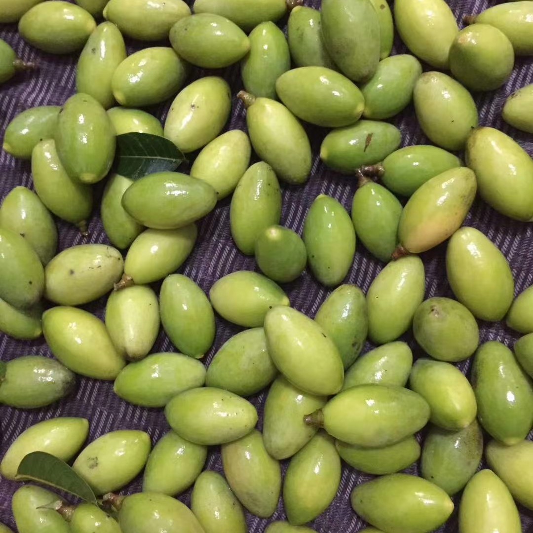  新鲜青橄榄