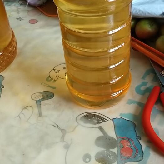 东宁市 今年新品深山椴树蜜