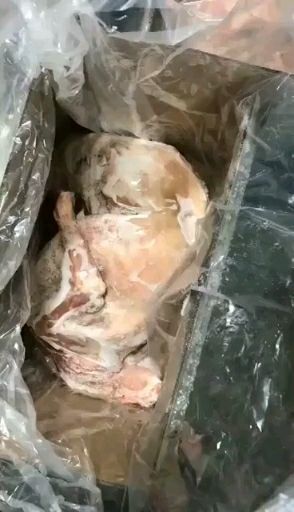阳信县 烤全羊专用羊酮体