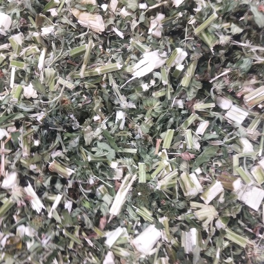 亳州益母草