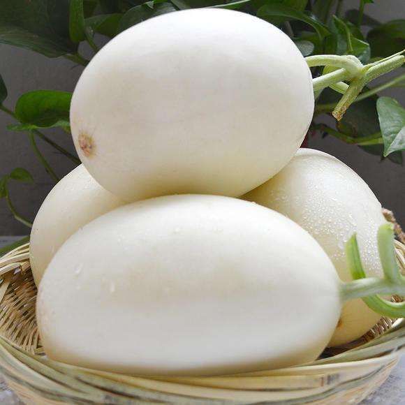 脆梨瓜   产地直供精品脆梨甜瓜