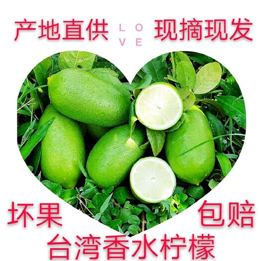英德市香水柠檬
