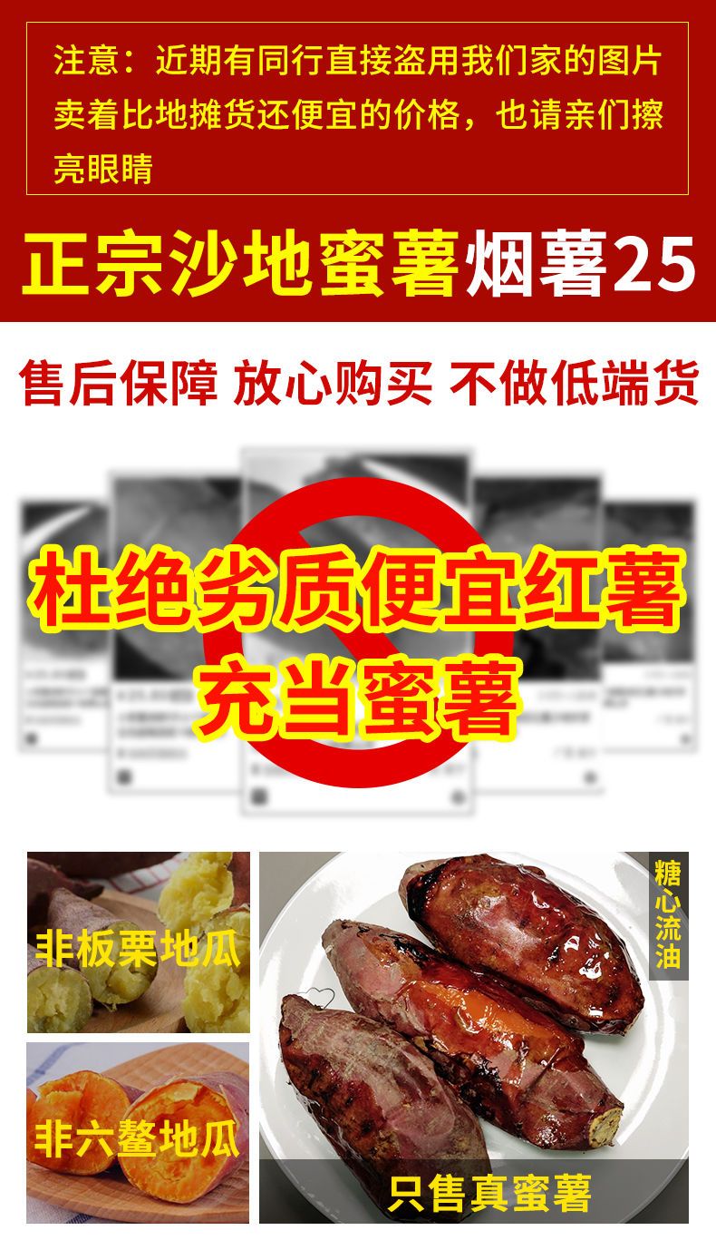 烟薯25  产地直供，