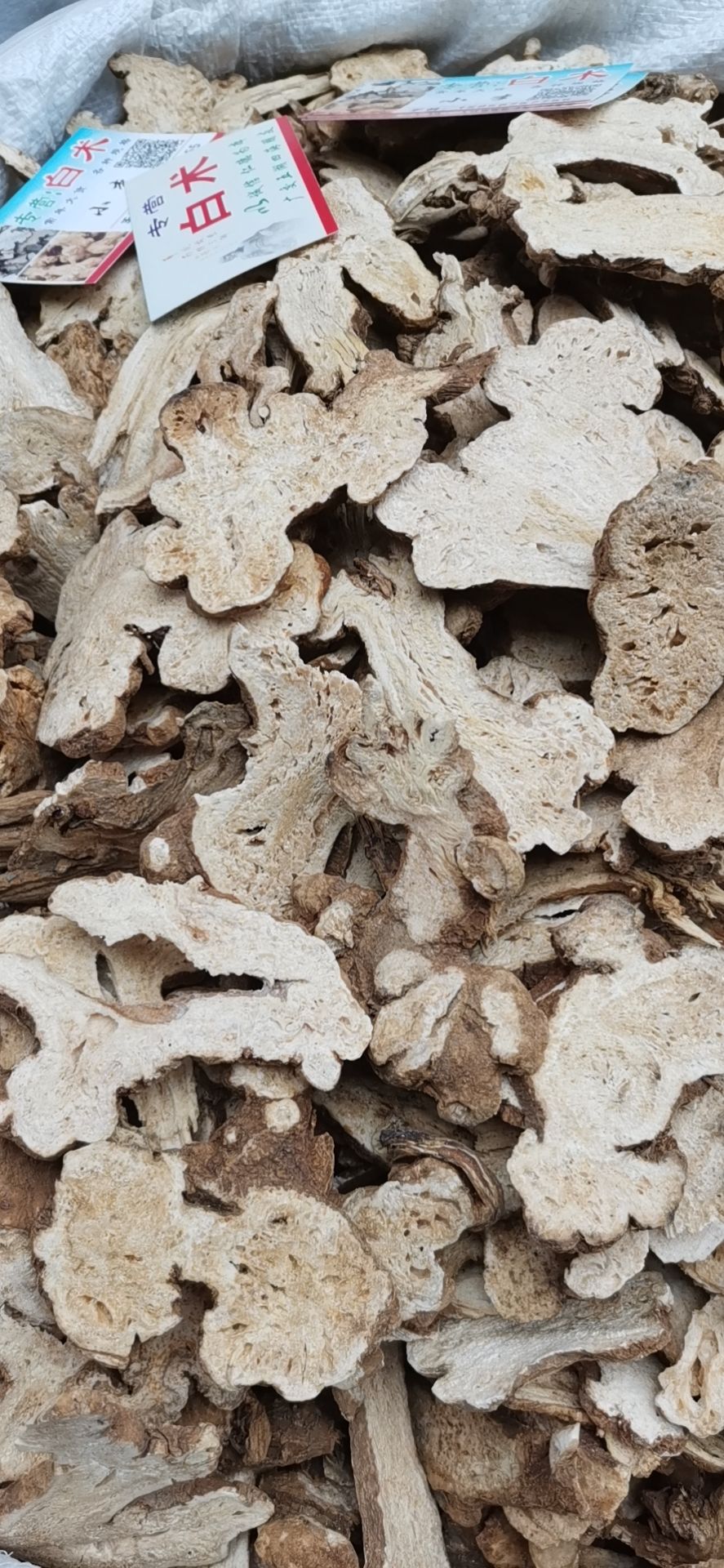 生白术  白术片子，各种规格白术片新货大量上市，质优价廉，品