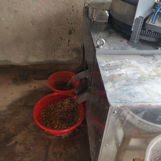 宝应县 新鲜芡实大量上市  量大从优