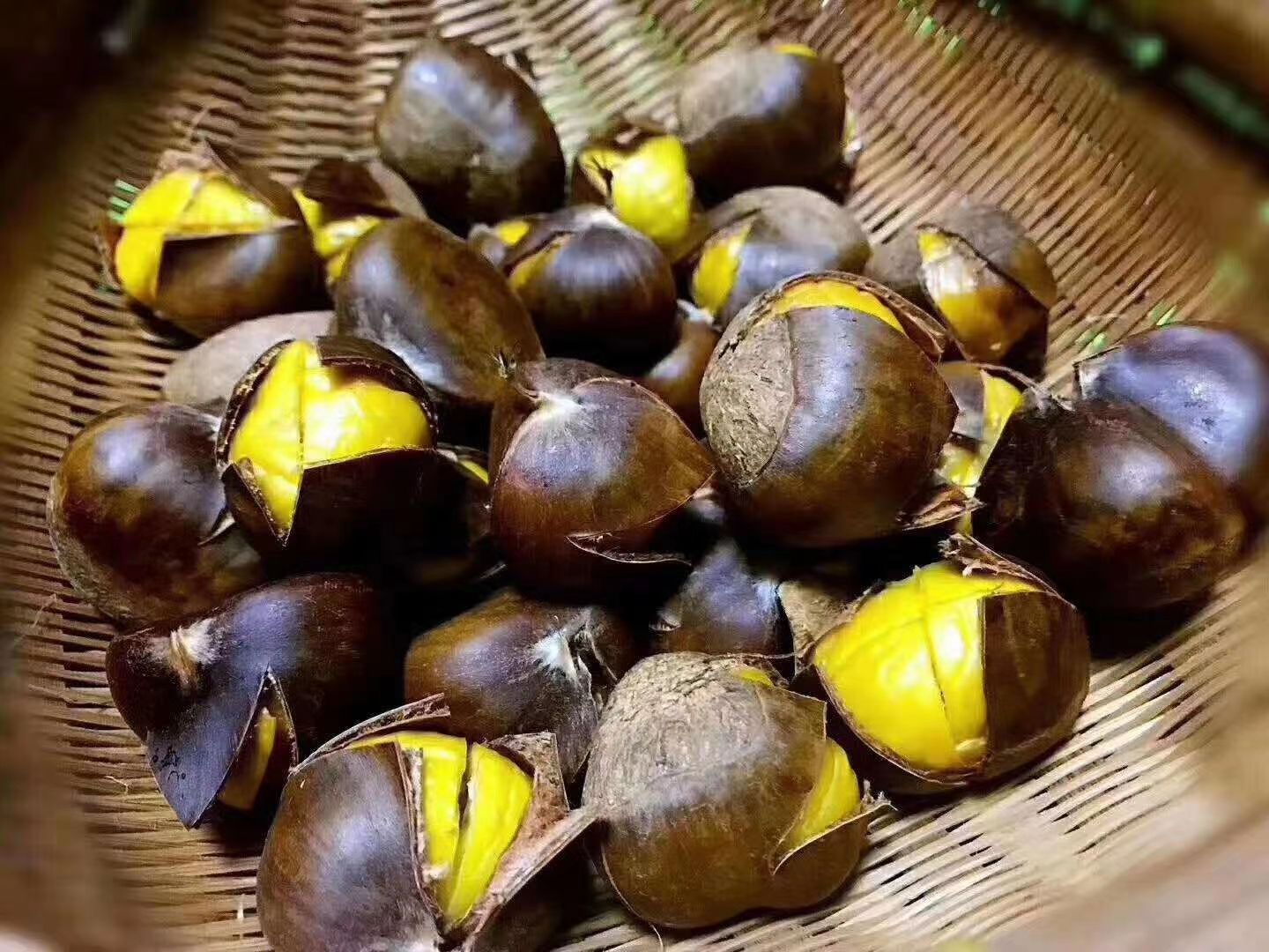 广东板粟  应季坚果农家板栗
甜，粉，糯就是这个味