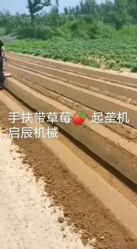  手扶拖拉机带草莓筑埂机开沟起垄一体机