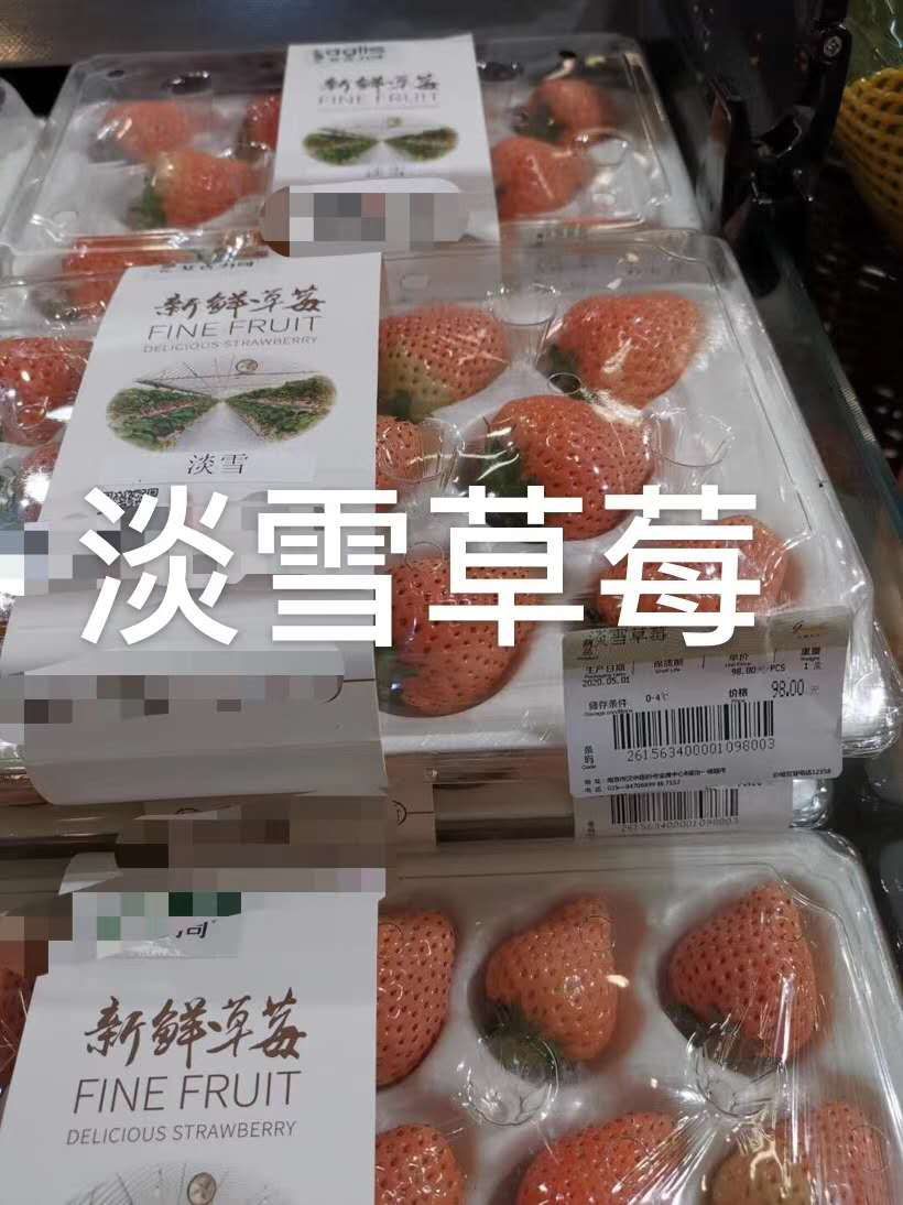  奶油甜宝草莓苗，白草莓苗大量起苗发货