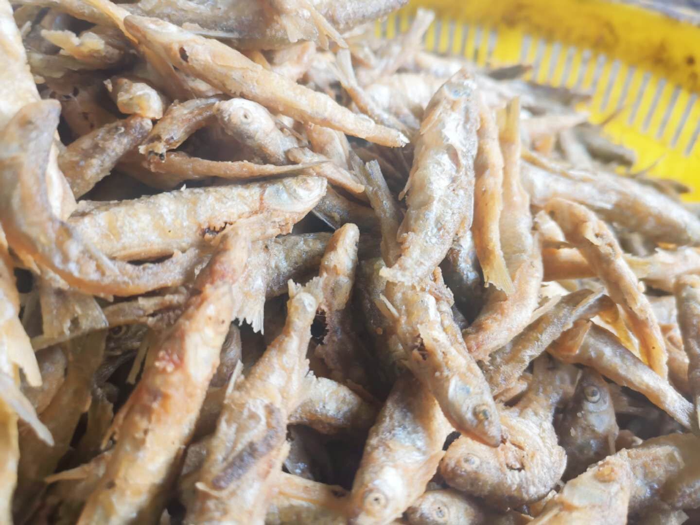 小鱼干 油炸白肖