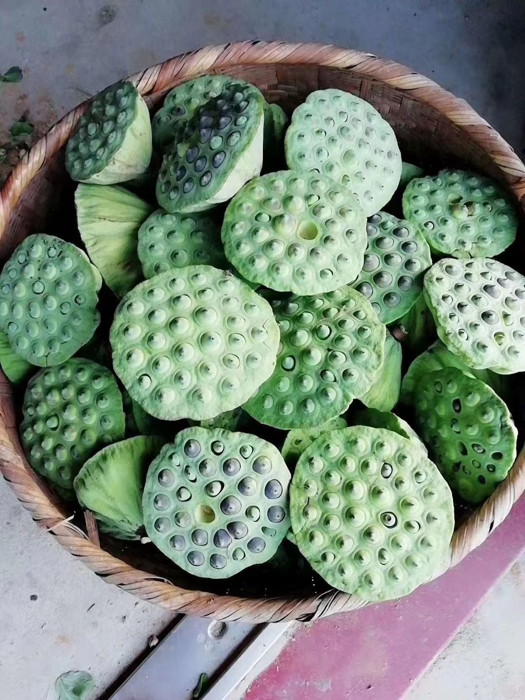 红莲子 中国供莲，清新花香，福源建宁，建宁特产