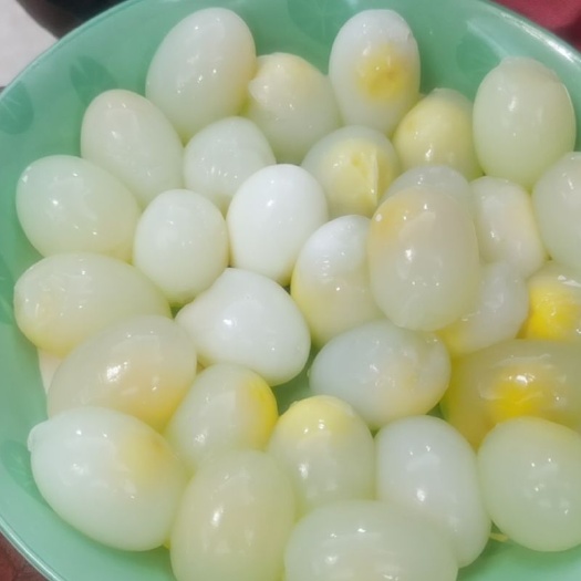 惠来县白鸽蛋 自己鸽场当天产当天发货，双母蛋
