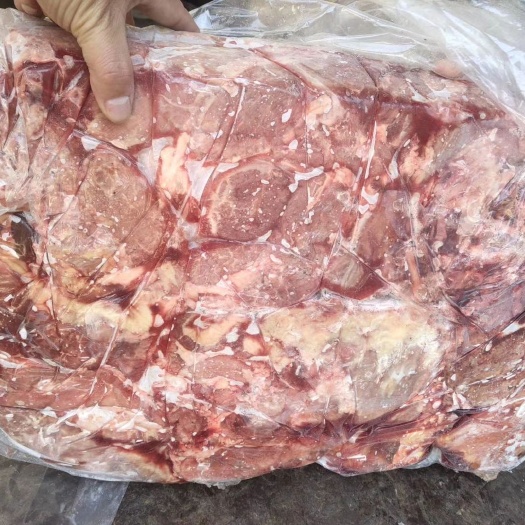 商河县羊肉类 羔羊板肉