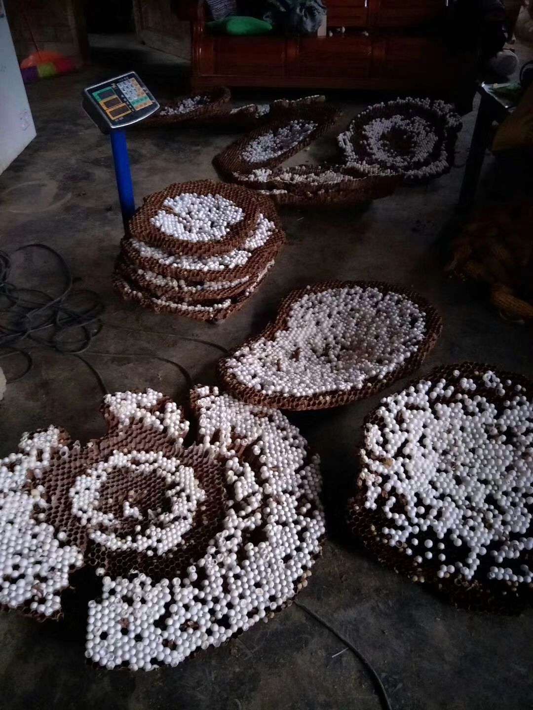  有没有想拿蜂蛹去满足胃蕾呢