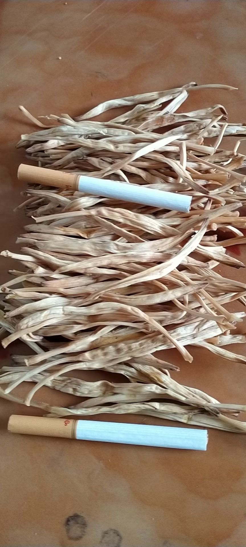 大黄花  宁夏大白条，干.白.直！