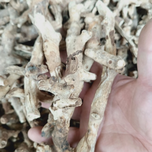 玉林 穿地龙地龙骨串地龙泡酒料东北，穿山龙500g中药材穿龙薯蓣
