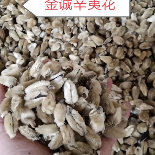 南召县 辛夷花批发 调料专用 低于市场价 质量有保证